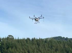 Airborne Agricultural Drone Services