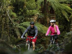 Craters top mtb park