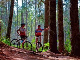 Craters Mountain Bike Park, Taupo