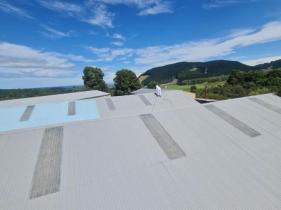 ROOF PAINTING