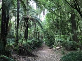 TAUPŌ WALKING TRACKS