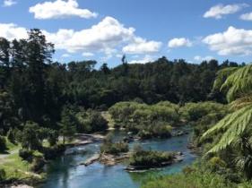 TAUPŌ WALKING TRACKS