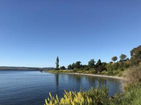 TAUPŌ WALKING TRACKS