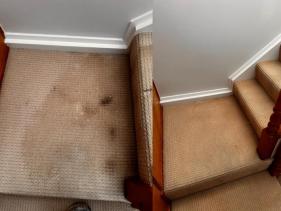 CARPET CLEANING