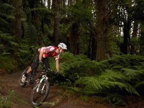 CRATERS MOUNTAIN BIKE PARK Taupo Information