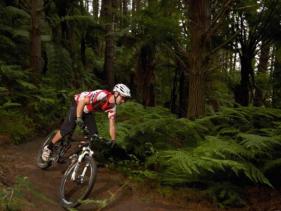 Craters Mountain Bike Park, Taupo