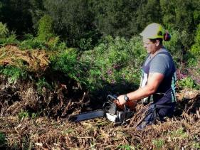 PKV TREEWORX LTD TAUPO