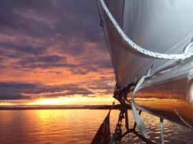 COCKTAIL CRUISE