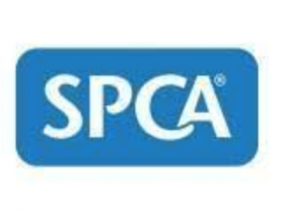 TAUPO SPCA OP SHOP