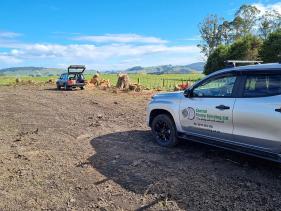 Central Stump Grinding Taupo