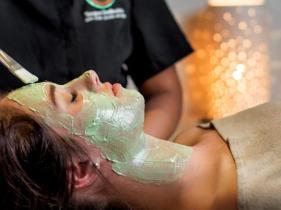 LIVING WATERS DAY SPA - TAUPŌ DEBRETTS 