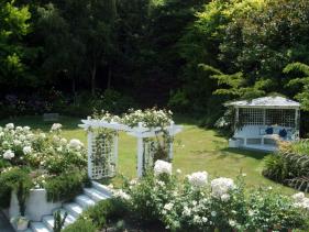 Taupo Wedding Venue